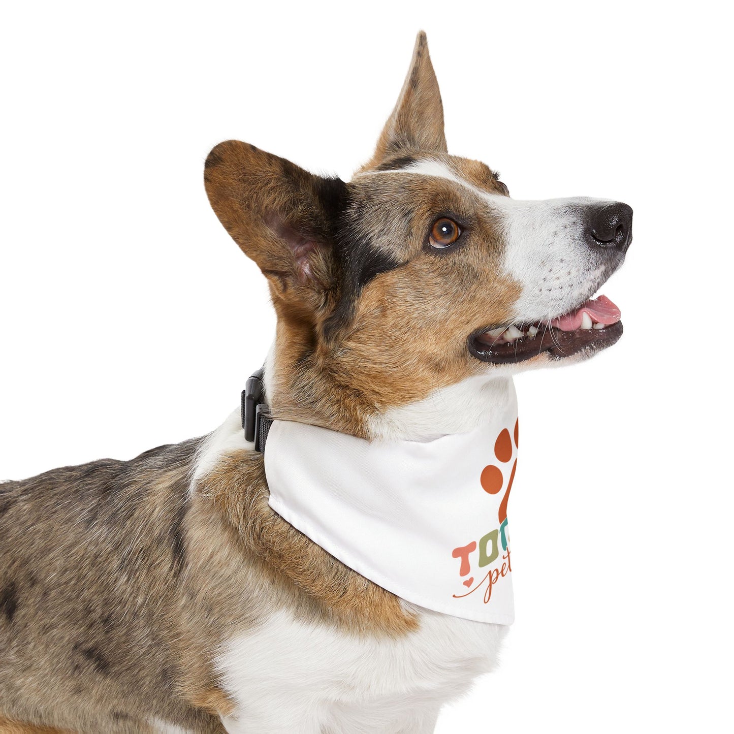 Pet Bandana Collar | TOTALLY Pettable