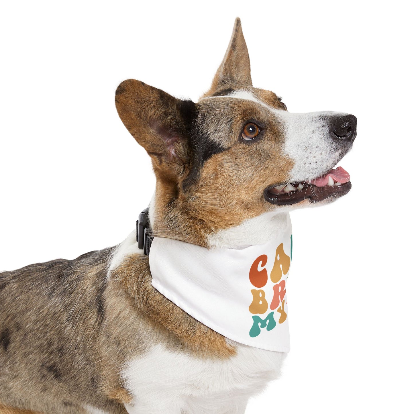 Pet Bandana Collar | Can I Bring My Dog