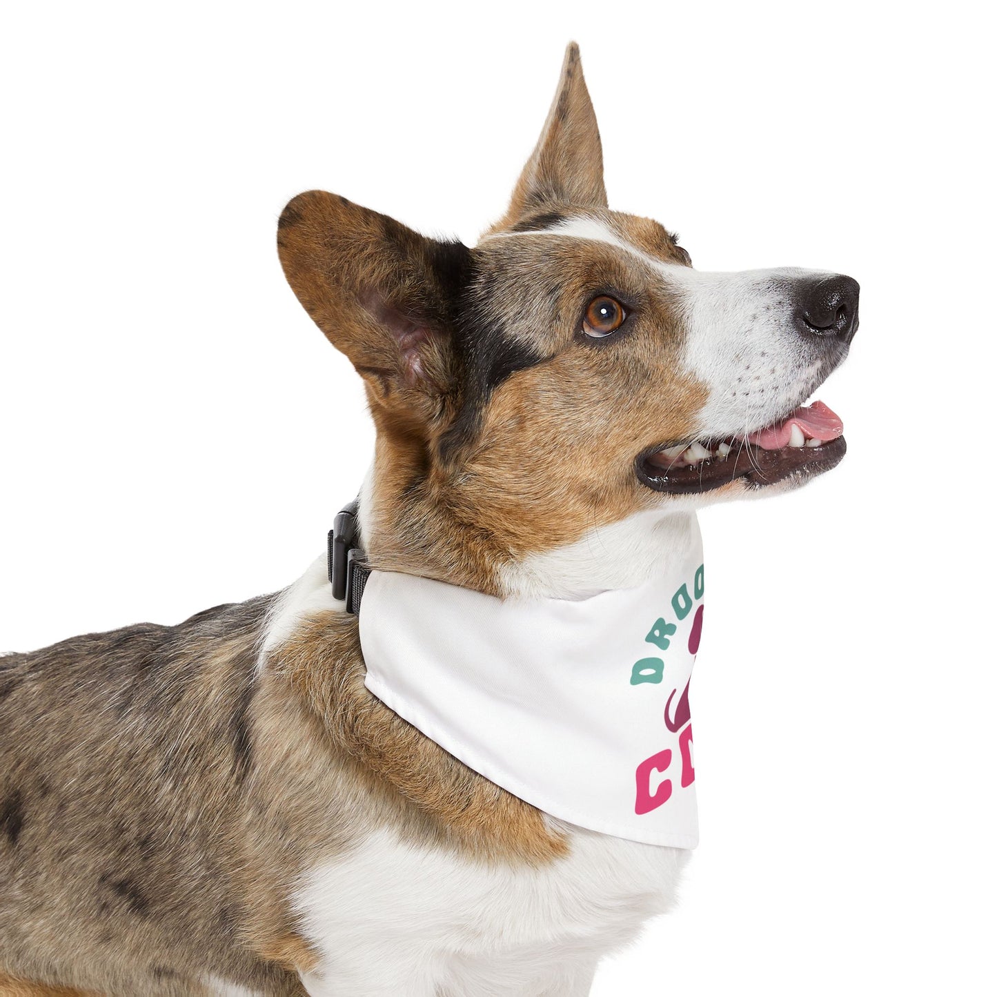 Pet Bandana Collar | Drool Is Cool