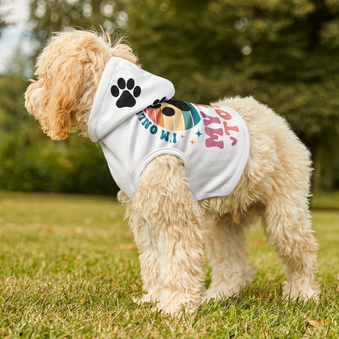 Pet Hoodie | I'M ONLY TALKING TO MY DOG TODAY