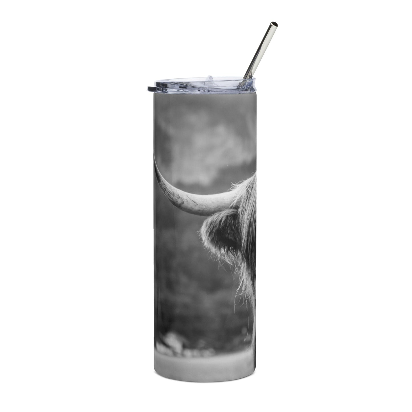 Stainless Steel Tumbler |