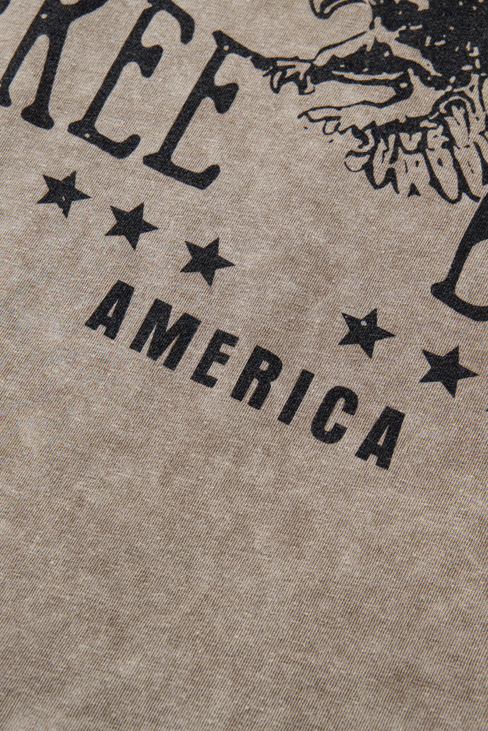 Parchment AMERICA FREE BIRD Vintage Graphic Mineral Washed Tee