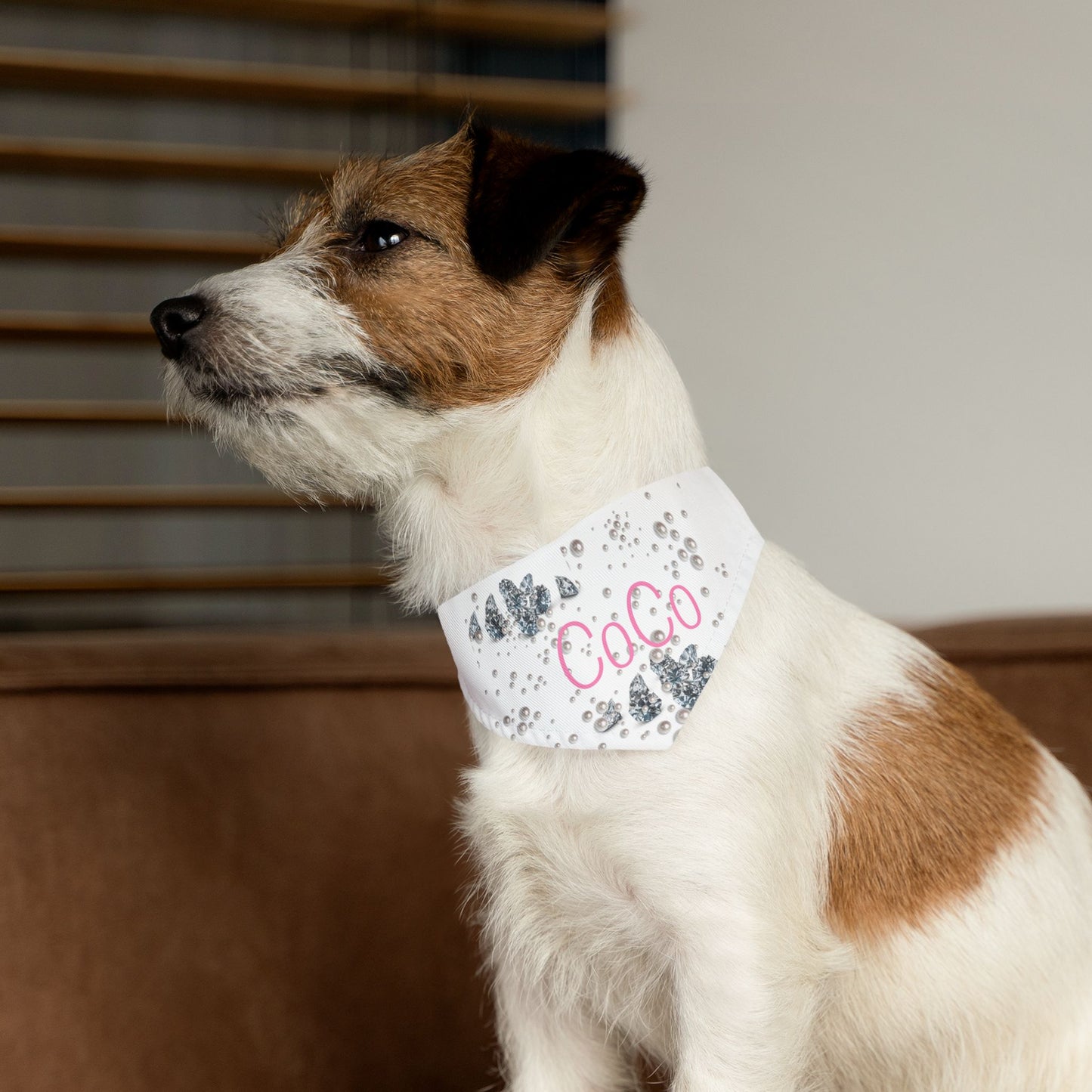 Pet Bandana Collar | Diamonds & Pearls Custom Pet Name