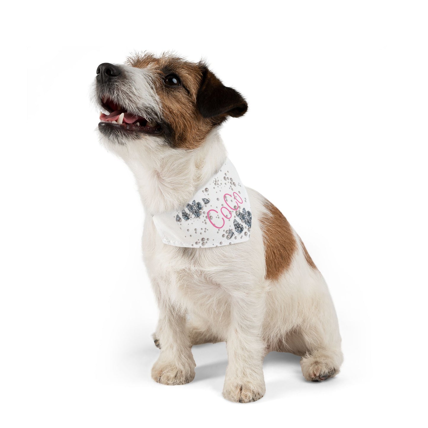 Pet Bandana Collar | Diamonds & Pearls Custom Pet Name