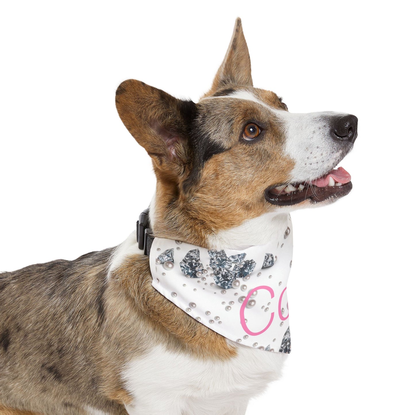 Pet Bandana Collar | Diamonds & Pearls Custom Pet Name