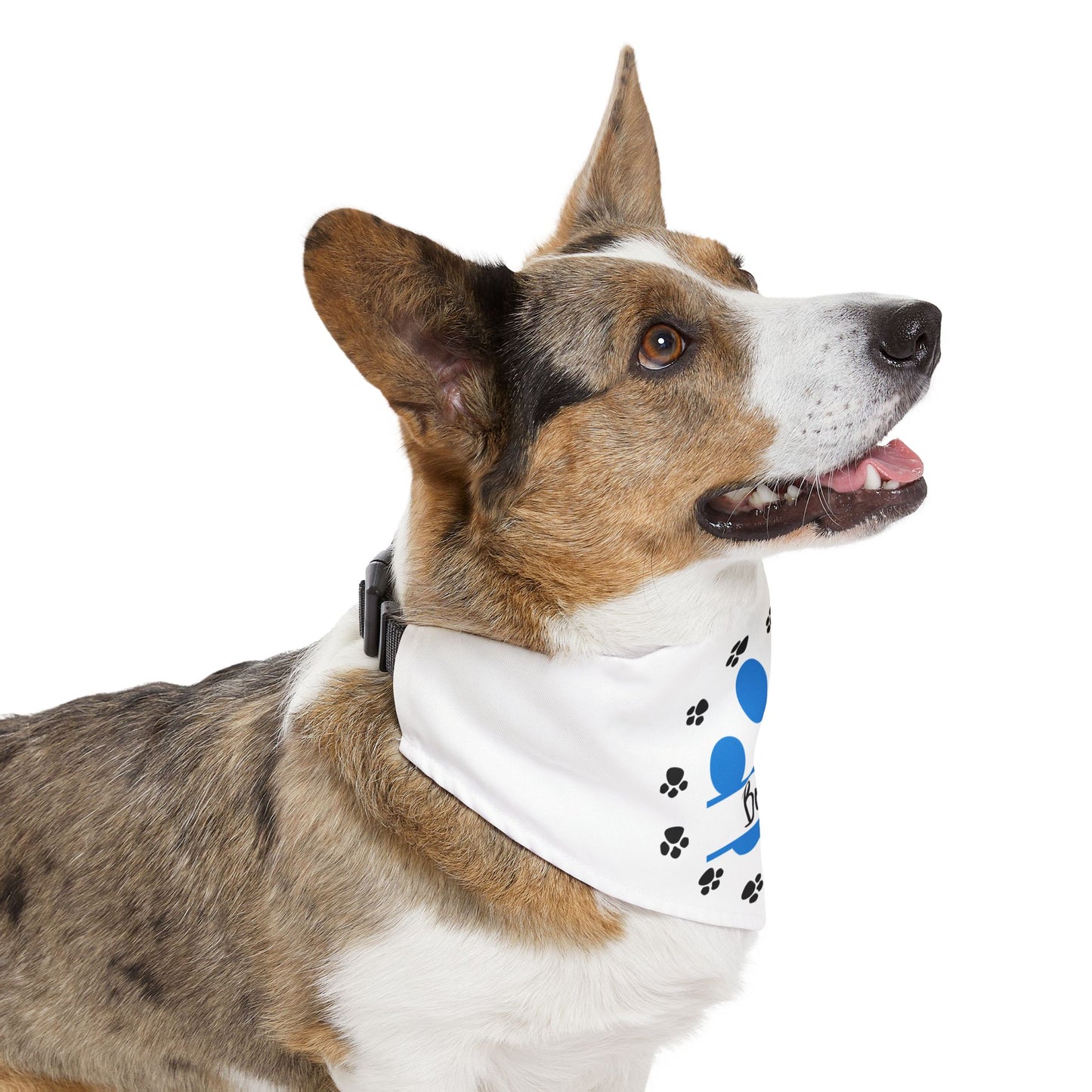 Pet Bandana Collar | Circle Of Paws Custom Pet Name