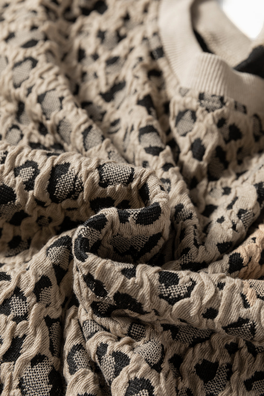 Ribbed Trim Leopard Top