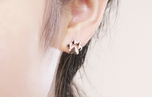Load image into Gallery viewer, Dog Paw Earrings
